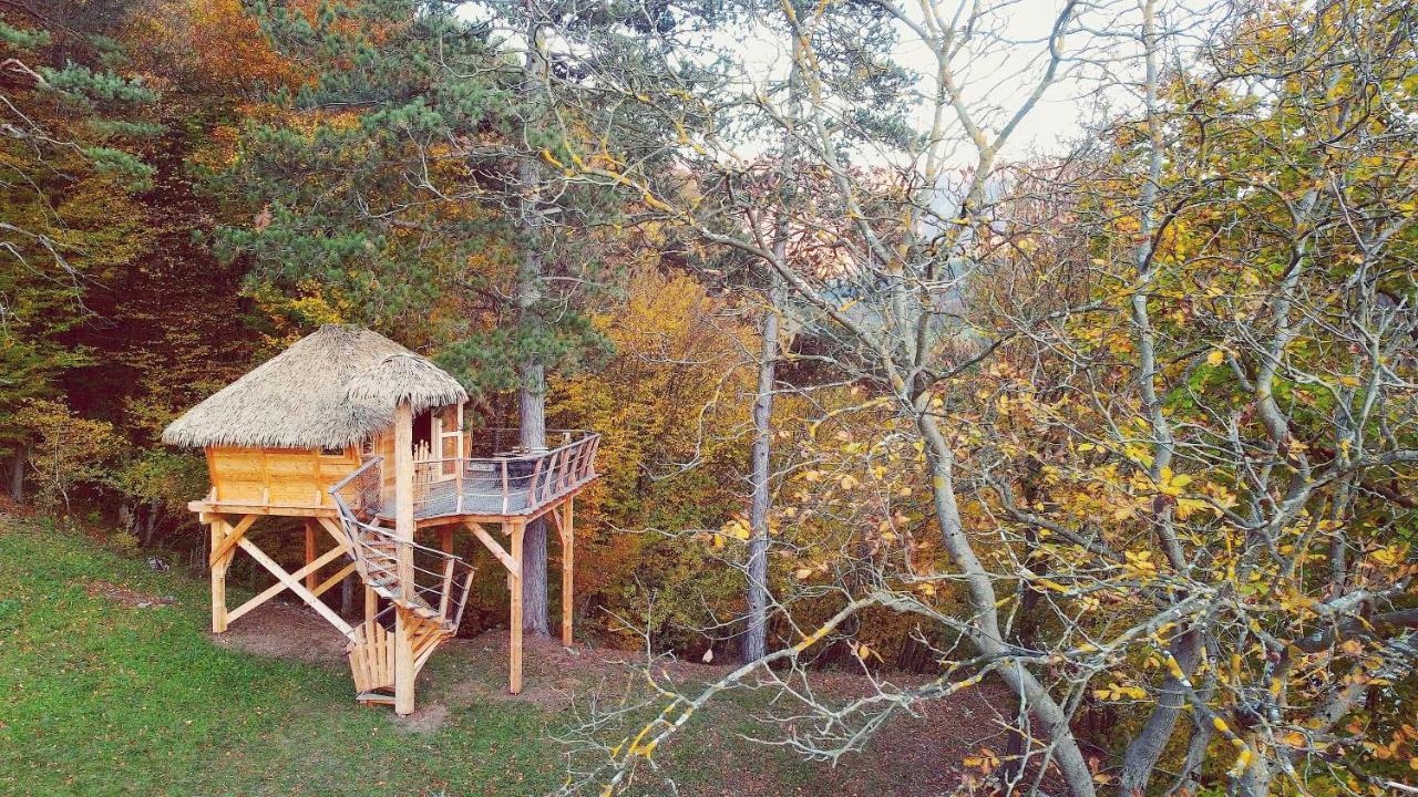 فندق Pine Point Trenčianske Teplice المظهر الخارجي الصورة